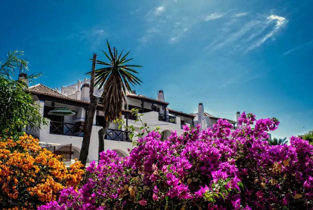 Apartment In Playa De Las Americas 1 Playa de las Americas (Tenerife) Exterior foto